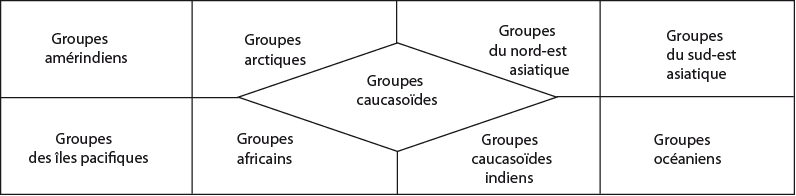 Les 9 groupes de population