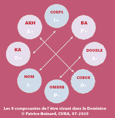 Les 8 composantes de l'tre vivant dans le Dominion